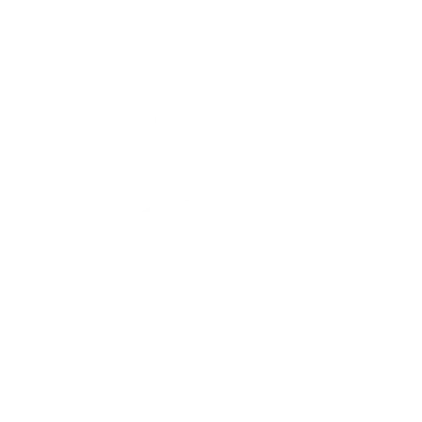 Mag. Sheyda Wiesauer | Psychologin | BeziehungsMut